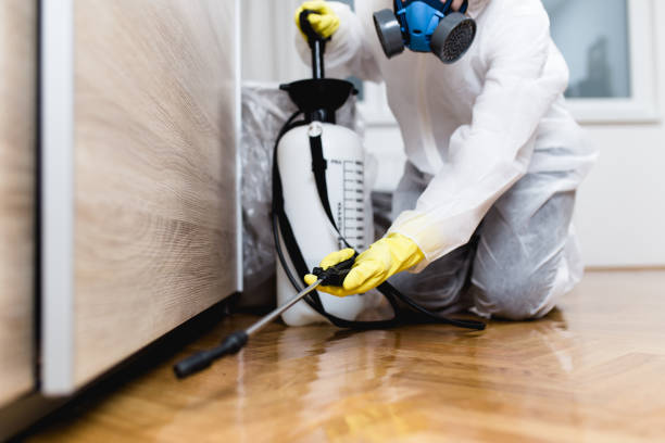 Best Insect Control  in Medford, WI