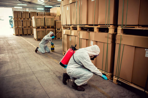 Best Pest Control Near Me  in Medford, WI