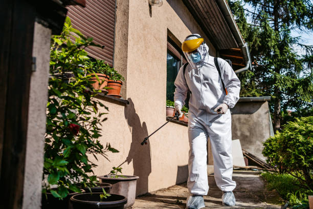 Best Best Pest Control Companies  in Medford, WI