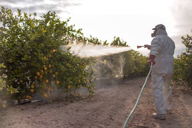 Professional Pest Control in Medford, WI