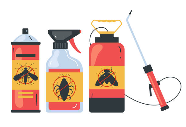 Best Wasp Removal Services  in Medford, WI