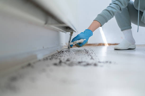 Best Pest Removal Services  in Medford, WI