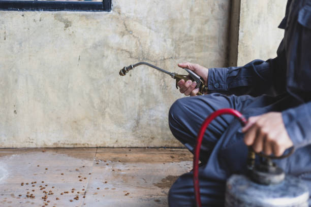 Best Best Pest Control Near Me  in Medford, WI