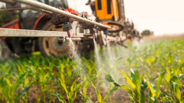 Best Mosquito Control Services  in Medford, WI